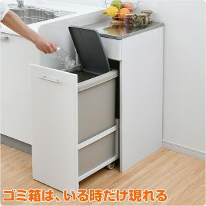 ゴミ箱 キッチンラック 一体型 ダストボックス...の詳細画像3