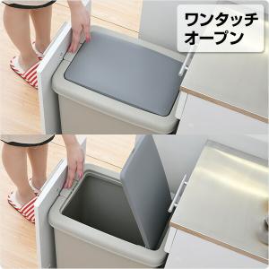 ゴミ箱 キッチンラック 一体型 ダストボックス...の詳細画像5