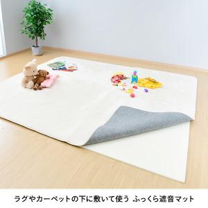 遮音マット 厚さ15mm 3畳相当 (85×2...の詳細画像1