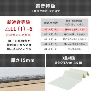 遮音マット 厚さ15mm 3畳相当 (85×2...の詳細画像2