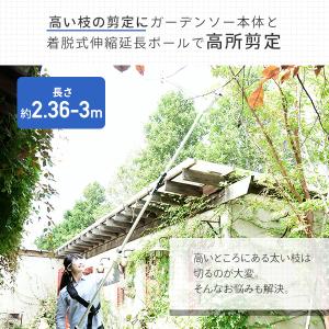 高枝切りバサミ AC電源タイプ 10m延長コー...の詳細画像3