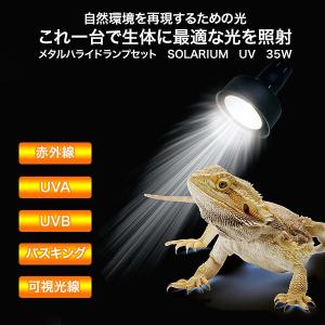 ソラリウム 35Wセット (メタルハライドラン...の詳細画像1