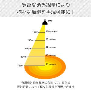 ソラリウム 35Wセット (メタルハライドラン...の詳細画像4