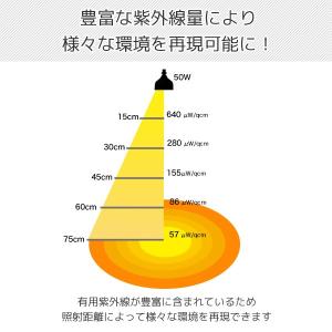 ソラリウム 50Wセット (メタルハライドラン...の詳細画像4