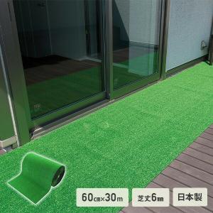 人工芝 60cm×30m 汎用タイプ 芝丈6mm 日本製 WT-600