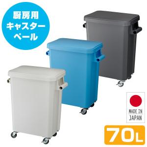 厨房用キャスターペール 70L 業務用 ゴミ箱 ごみ箱 ダストボックス 70リットル 蓋付き フタ付き 排水栓付き 生ゴミ ゴミステーション 厨房 キッチン リス RISU