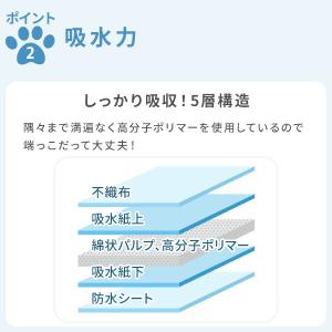 ペットシーツ ペットシート 薄型 使い捨て 消...の詳細画像4