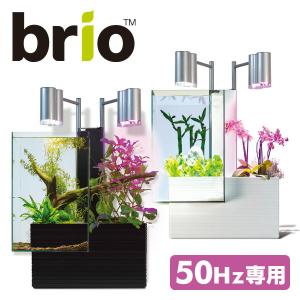 【50Hz専用】 ブリオ35 家庭用 アクアポニックス 水槽※植物、生体、砂利は付属しません 水槽 アクアポニクス 家庭用アクアポニックス インテリア水槽 おしゃれ｜e-kurashi