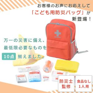 防災グッズ 防災セット 防災士監修 一次避難用...の詳細画像2