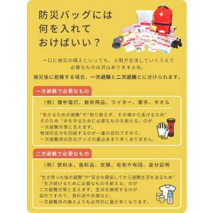 防災グッズ 防災セット 防災士監修 一次避難用...の詳細画像3