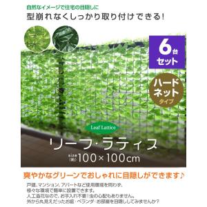 グリーンカーテン グリーンフェンス リーフラテ...の詳細画像2