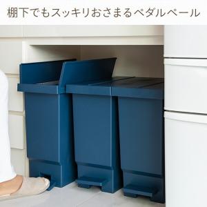 ゴミ箱 フタ付き ペダル式 カウンター下 日本...の詳細画像2