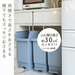 ゴミ箱 フタ付き ペダル式 カウンター下 日本...の詳細画像3