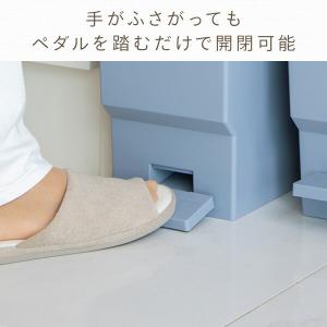 ゴミ箱 フタ付き ペダル式 カウンター下 日本...の詳細画像4