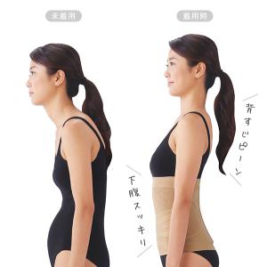 日本製 美姿勢サポーター (M-L / L-L...の詳細画像3