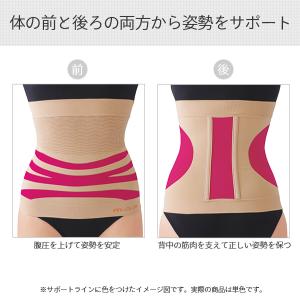 日本製 美姿勢サポーター (M-L / L-L...の詳細画像4