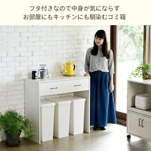 2個組 ゴミ箱 30L ふた付き ホワイト/ブ...の詳細画像4