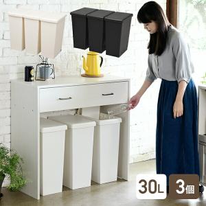 3個組 ゴミ箱 30L ふた付き ホワイト/ブラック スライドペール
