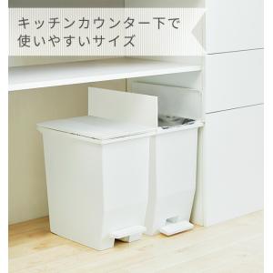 ゴミ箱 SOLOW ソロウ ペダルオープン ツ...の詳細画像1