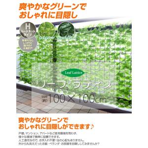 グリーンカーテン グリーンフェンス リーフラテ...の詳細画像2