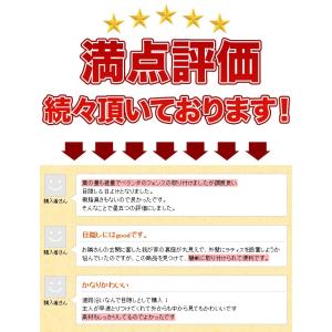 グリーンカーテン グリーンフェンス リーフラテ...の詳細画像3