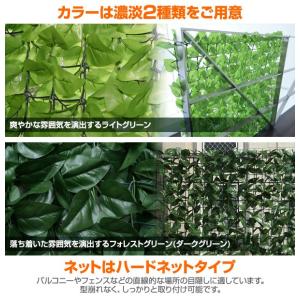 グリーンカーテン グリーンフェンス リーフラテ...の詳細画像5
