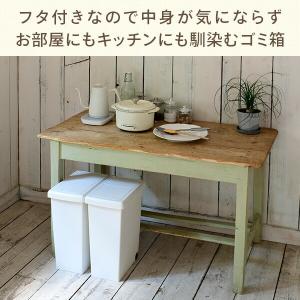 2個組 ゴミ箱 20L ふた付き ホワイト/ブ...の詳細画像4