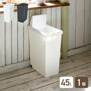 ゴミ箱 45L ふた付き ホワイト/ブラック ス...の商品画像