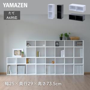 すき間収納 カラーボックス A4 2段 スリム CABR-7525