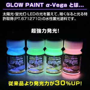 水性蓄光ペイント GLOW PAINT α-V...の詳細画像3