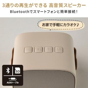 MINI カラオケマイク&スピーカー USB充...の詳細画像3