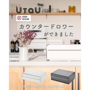 家電下 引き出し 収納ケース カウンタードロワ...の詳細画像4