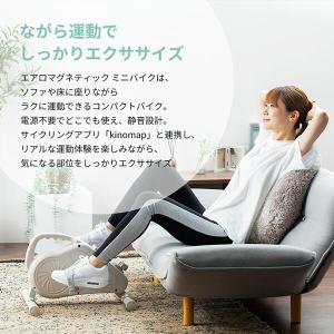 フィットネスバイク ミニ リハビリ エクササイ...の詳細画像2