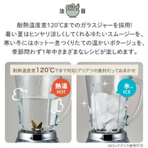 ミキサー ブレンダー ジューサー 小型 氷対応...の詳細画像3