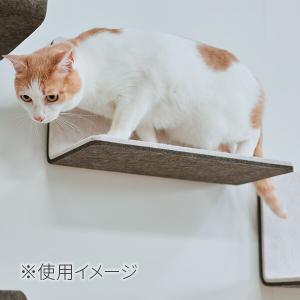 猫壁 ステップ マグネット式 キャットステップ...の詳細画像4