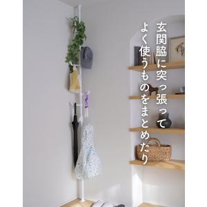 突っ張りポールハンガー つっぱり ポール ハン...の詳細画像2