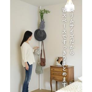 突っ張りポールハンガー つっぱり ポール ハン...の詳細画像4