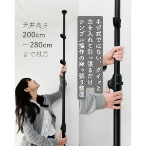 突っ張りポールハンガー つっぱり ポール ハン...の詳細画像5
