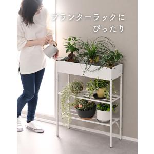 玄関収納ラック シューズラック ボール おもち...の詳細画像3