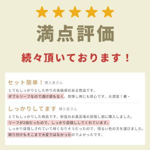 グリーンカーテン グリーンフェンス リーフラテ...の詳細画像4