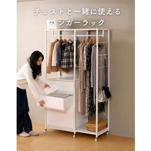 【ハンガーラックのみ】チェスト 上置き用 棚付...の詳細画像1