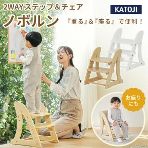 2WAY ステップ&チェア ノボルン チェア ...の詳細画像1