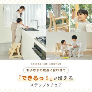 2WAY ステップ&チェア ノボルン チェア ...の詳細画像2