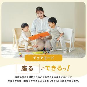 2WAY ステップ&チェア ノボルン チェア ...の詳細画像3