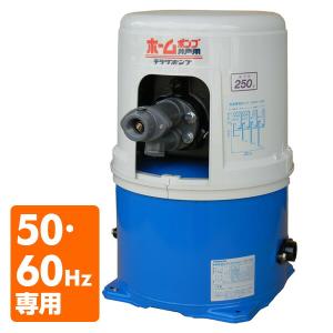テラル 井戸ポンプ 100V 給水ポンプ インバーターポンプ THP6
