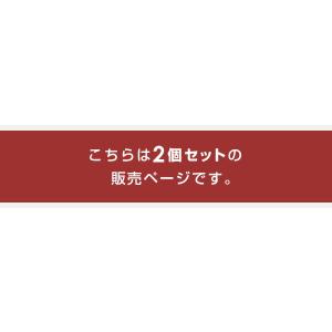 電気あんか 平型 平型電気あんか 温度調節機能...の詳細画像1
