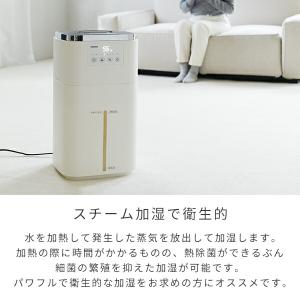加湿器 スチーム式 山善 大型 スチーム式加湿器 スチームファン式加湿
