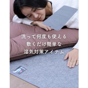 洗える 除湿シート シングル 防カビ 防臭 珪...の詳細画像2