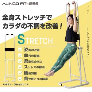 ぶら下がり健康器 ぶらさがりくん 高さ5段階 ...の詳細画像1