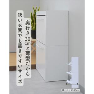 シューズラック シューズボックス 靴 収納 下...の詳細画像3